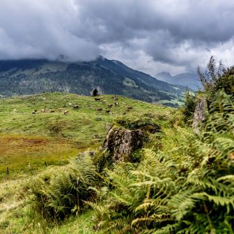 Natur Entlebuch