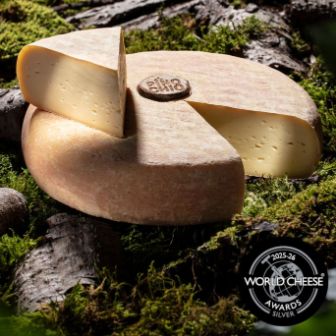 PinoChio_WCA_Silber_2025