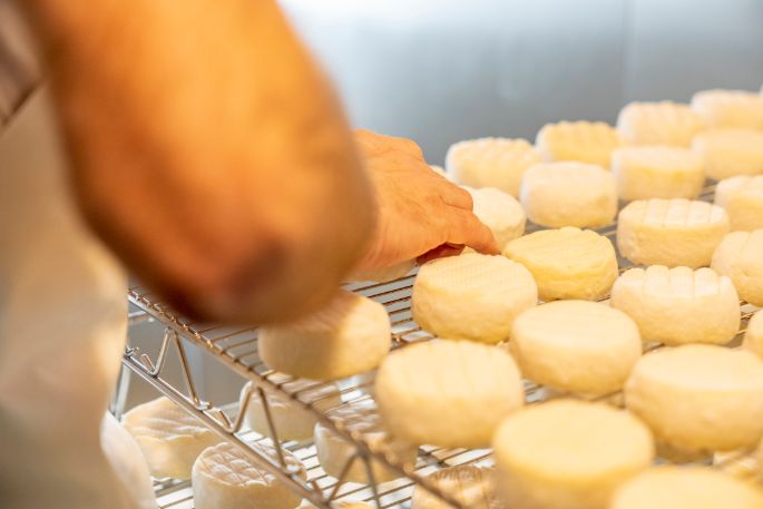 Kleine Käse auf Gitter