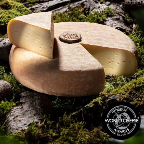 PinoChio_WCA_Silber_2025